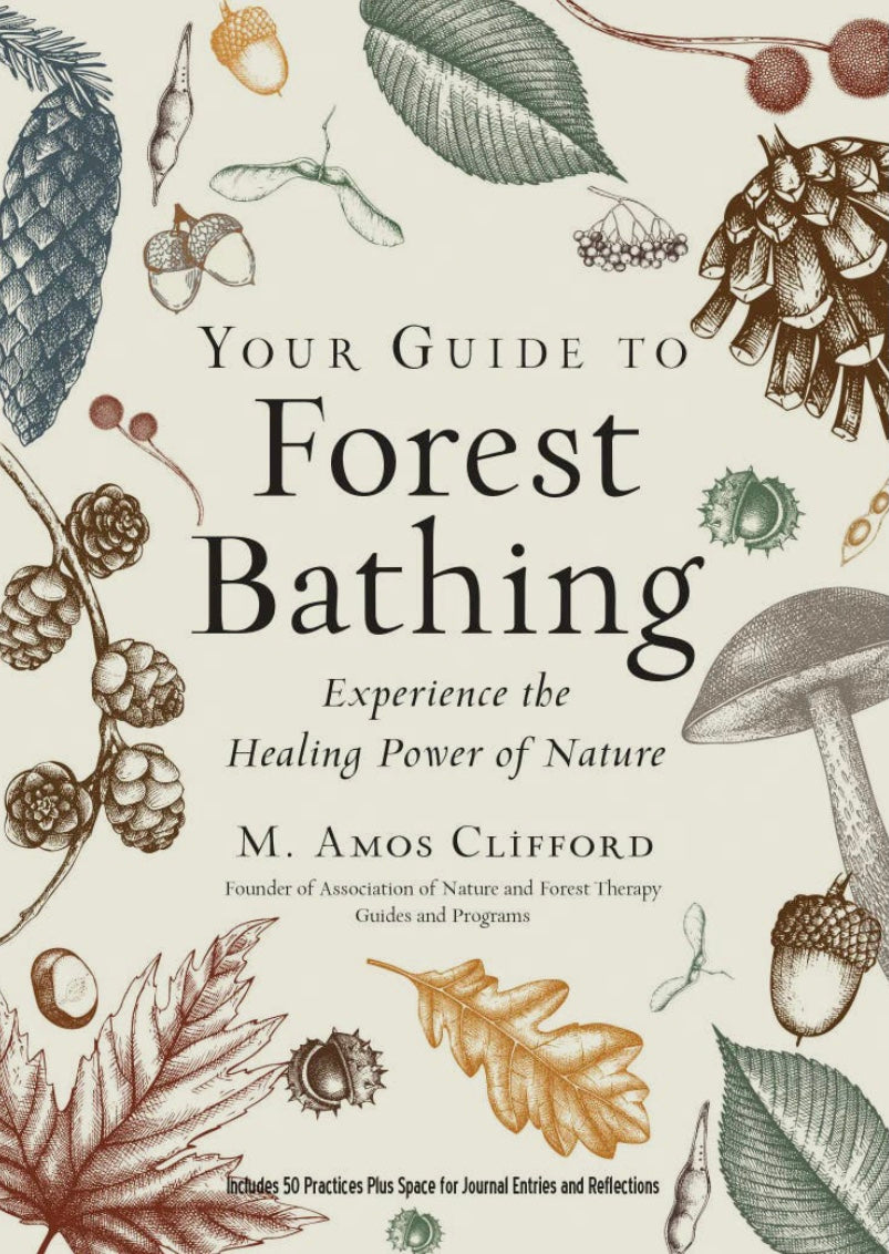 Your Guide To Forest Bathing
